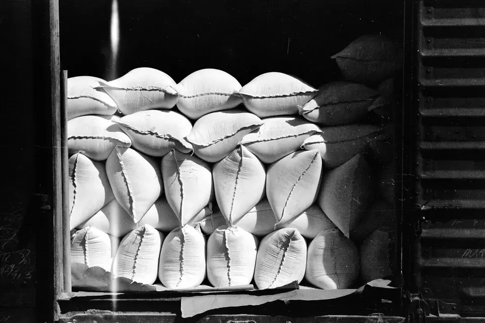 Black and white photograph of a railway freight car stacked to the roof with sacks of flour