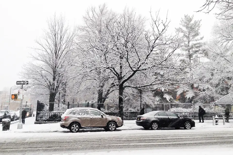 Two cars parked along the kerb of a snowy city street, with snow-laden trees behind them